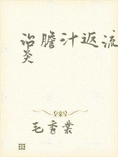 治胆汁返流性胃炎