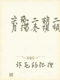 宋飞二胡二泉映月独奏视频