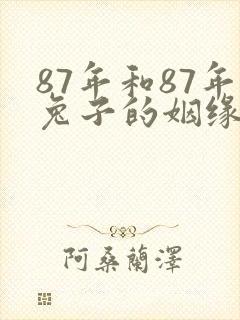 87年和87年兔子的姻缘与财运