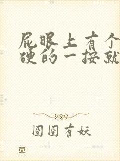 屁眼上有个包硬硬的一按就疼封面