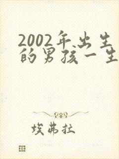 2002年出生的男孩一生的命运