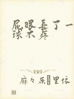 屁眼长了一个肉球不疼封面