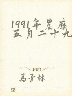 1991年农历五月二十九命运