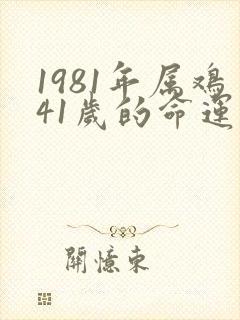 1981年属鸡41岁的命运