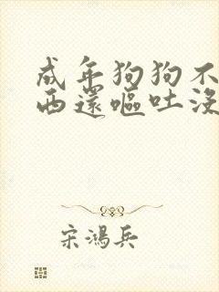 成年狗狗不吃东西还呕吐没精神怎么办