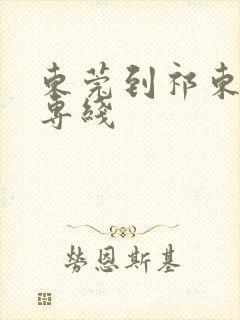 东莞到祁东物流专线