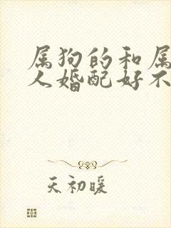 属狗的和属兔的人婚配好不好