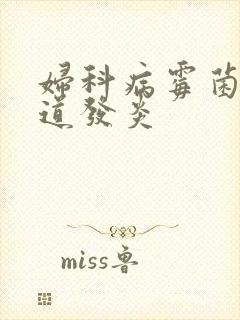 妇科病霉菌性阴道发炎