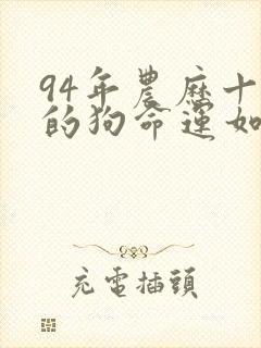 94年农历十月的狗命运如何