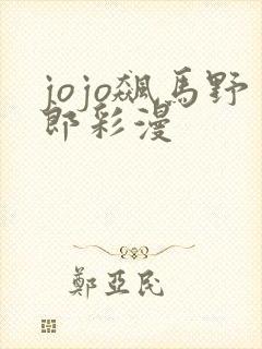 jojo飙马野郎彩漫