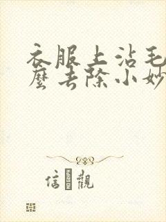 衣服上沾毛毛怎么去除小妙招