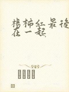 杨柿红最后和谁在一起