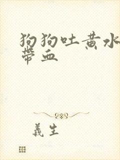 狗狗吐黄水拉稀带血