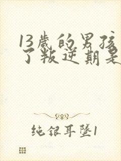 13岁的男孩到了叛逆期是怎么教