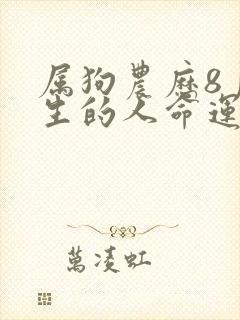 属狗农历8月出生的人命运封面