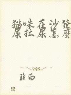 猫咪在沙发上拉屎拉尿怎么办