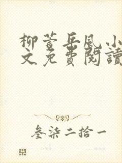 柳萱岳风小说全文免费阅读封面