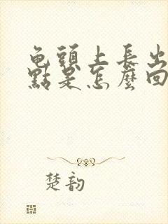 龟头上长出红点点是怎么回事封面