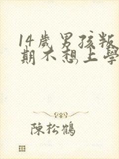 14岁男孩叛逆期不想上学怎么办