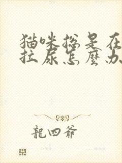 猫咪总是在床上拉尿怎么办