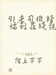 91老司机精品福利在线观看