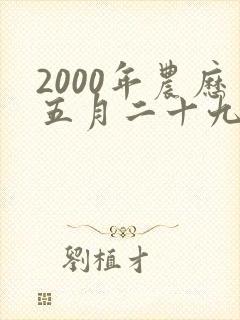 2000年农历五月二十九出生的命运