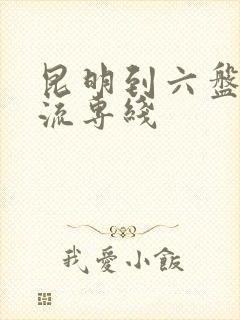 昆明到六盘水物流专线