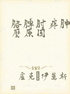 胳膊肘疼肿是什么原因