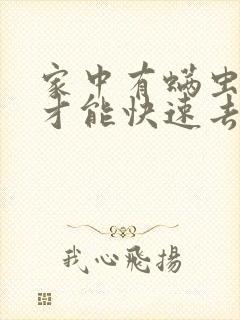 家中有螨虫怎么才能快速去除