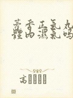 藿香正气丸能除体内湿气吗封面