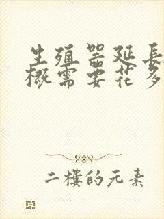 生殖器延长术大概需要花多少钱