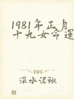 1981年正月十九女命运如何