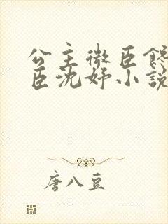 公主微臣馋了微臣沈妤小说