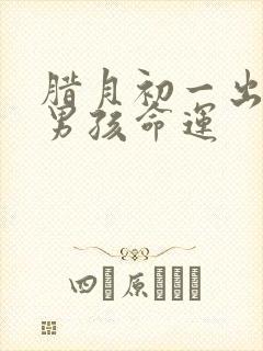 腊月初一出生的男孩命运