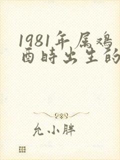 1981年属鸡酉时出生的命运
