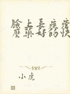 脸上长痤疮用什么药好的快