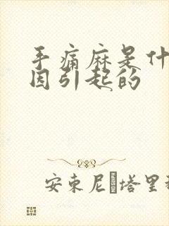 手痛麻是什么原因引起的