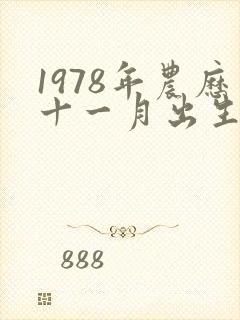 1978年农历十一月出生的命运