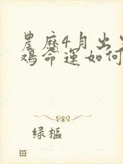 农历4月出生的鸡命运如何