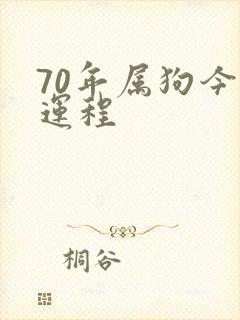 70年属狗今年运程