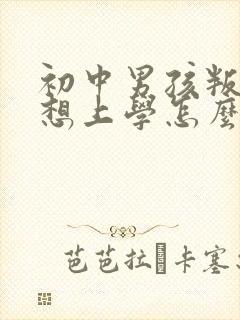 初中男孩叛逆不想上学怎么办