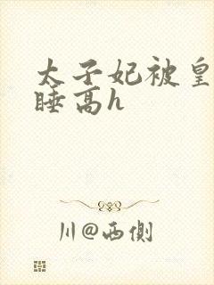 太子妃被皇上强睡高h