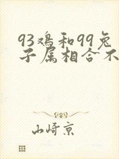 93鸡和99兔子属相合不合