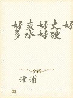 好爽好大好湿好多水好硬