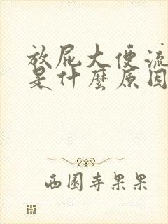 放屁大便流出来是什么原因封面