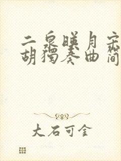 二泉映月宋飞二胡独奏曲简谱