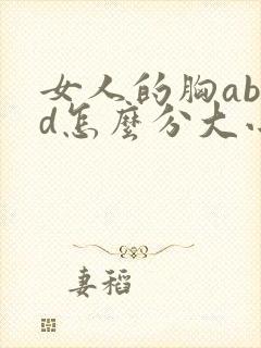 女人的胸abcd怎么分大小封面