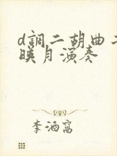 d调二胡曲二泉映月演奏
