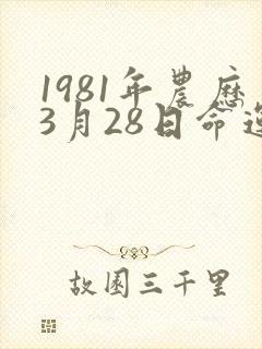 1981年农历3月28日命运