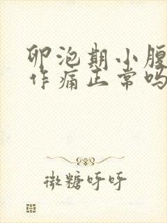 卵泡期小腹隐隐作痛正常吗